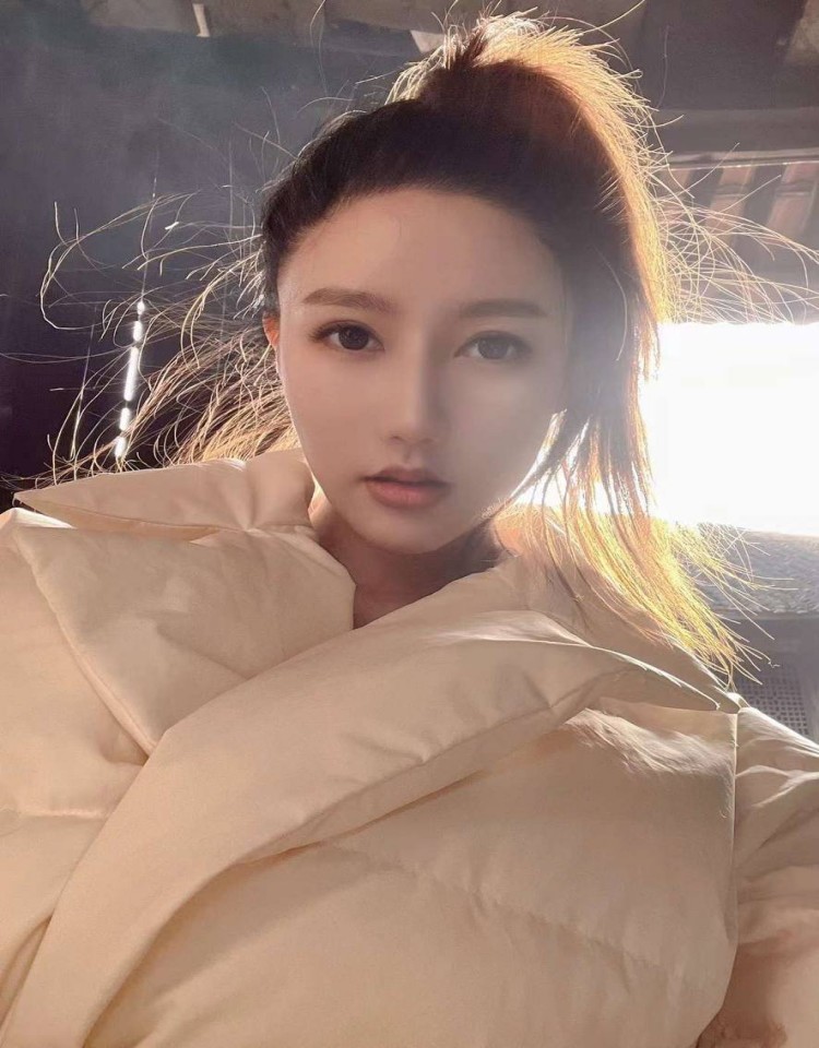 东北老阿姨高清免费观看电视剧,高清在线播放